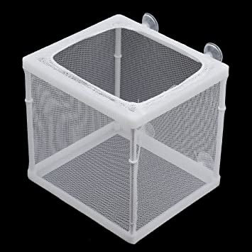 aquarium fish breeding net Boyu NB-3201 Net Breeder for Aquarium – Aquarium Specialties PR